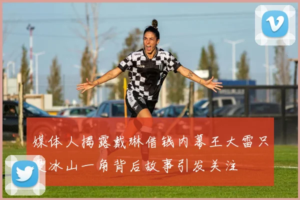 媒体人揭露戴琳借钱内幕王大雷只是冰山一角背后故事引发关注