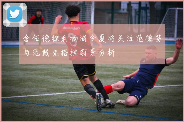 舍伍德称利物浦今夏将关注范德芬与范戴克搭档前景分析