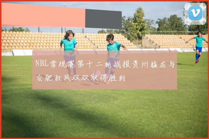 NBL常规赛第十二轮战报贵州猛龙与合肥狂风双双取得胜利