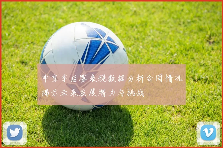 申京季后赛表现数据分析合同情况揭示未来发展潜力与挑战